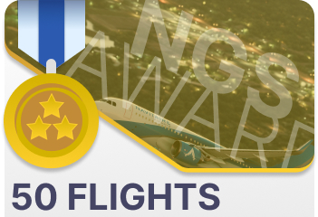 When a pilot has 50 flights, give this award