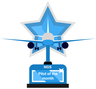 This award is given to the pilot who has flown the most routes during each calendar month.